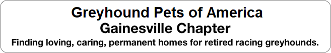 GPA - Gainesville Chapter
Finding loving, caring, permanent homes for retired racing greyhounds. If you would like to foster a greyhoind pease email jdymurr@aol.com.    